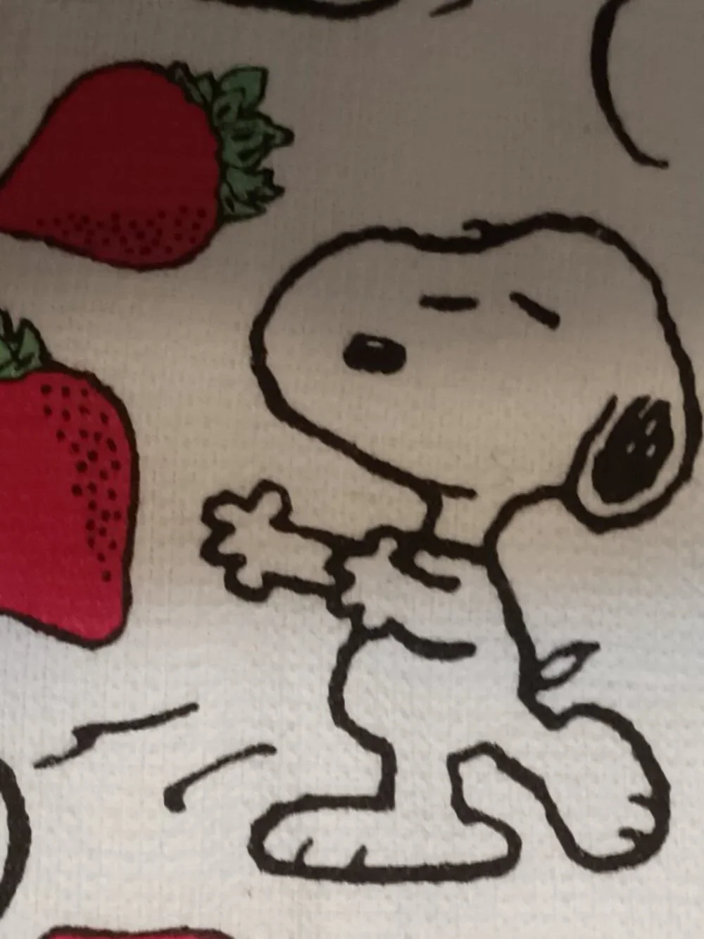 NWT~Peanuts Snoopy & Strawberries Multi-Images Cotton Kitchen Towels -Set of 2